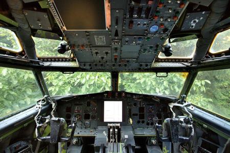 The cockpit view is dominated by a large walnut tree, left over from the land's previous use as a walnut orchard.