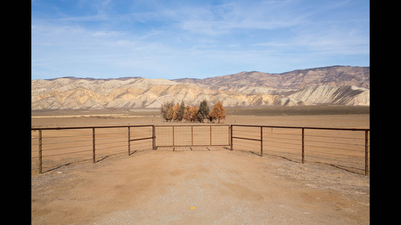 Dry range land used by cattle near Taft, Calif.